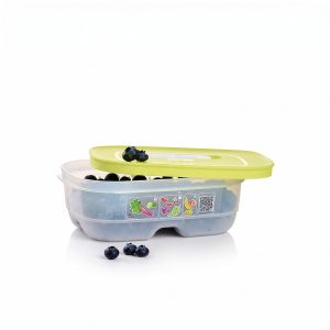 Tupperware? FridgeSmart? Small | Produce Storage Container With Lid