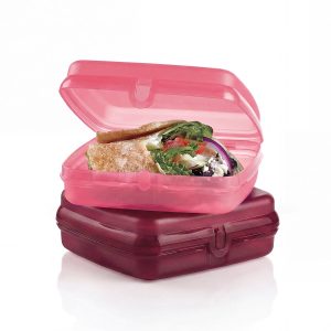 Tupperware? Sandwich Keepers - 2 Easy-Open Lunch Boxes for Kids