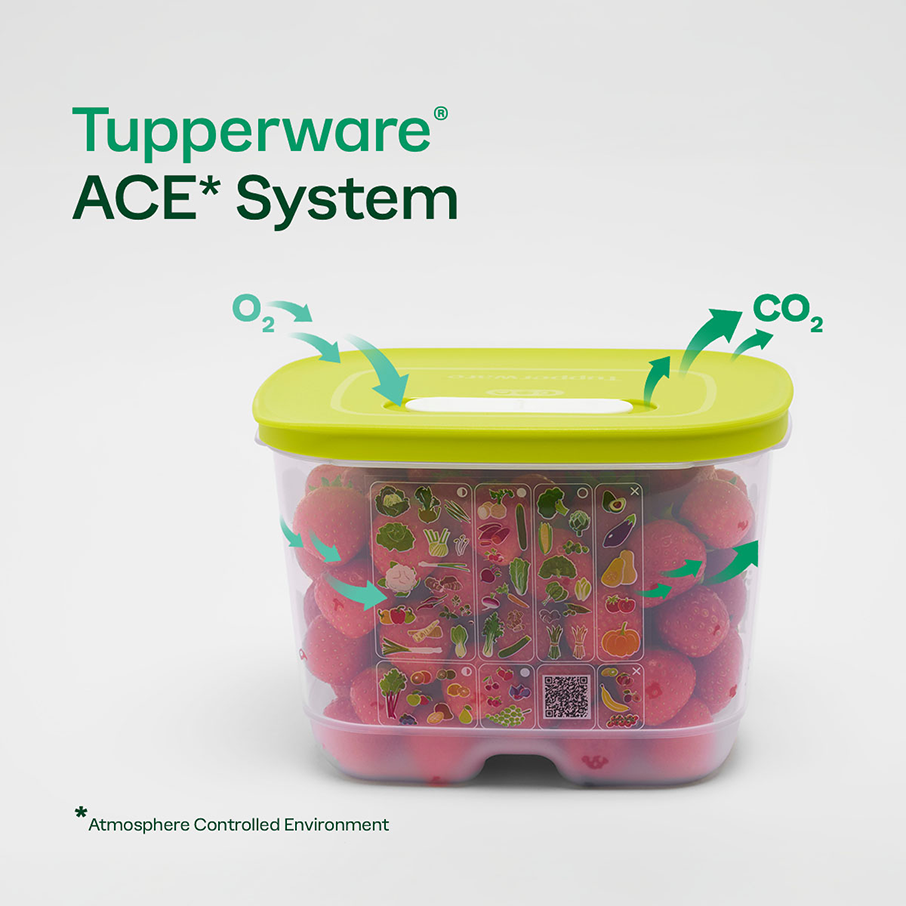 Tupperware? FridgeSmart? Medium Deep | Produce Storage Container With Lid - Image 3