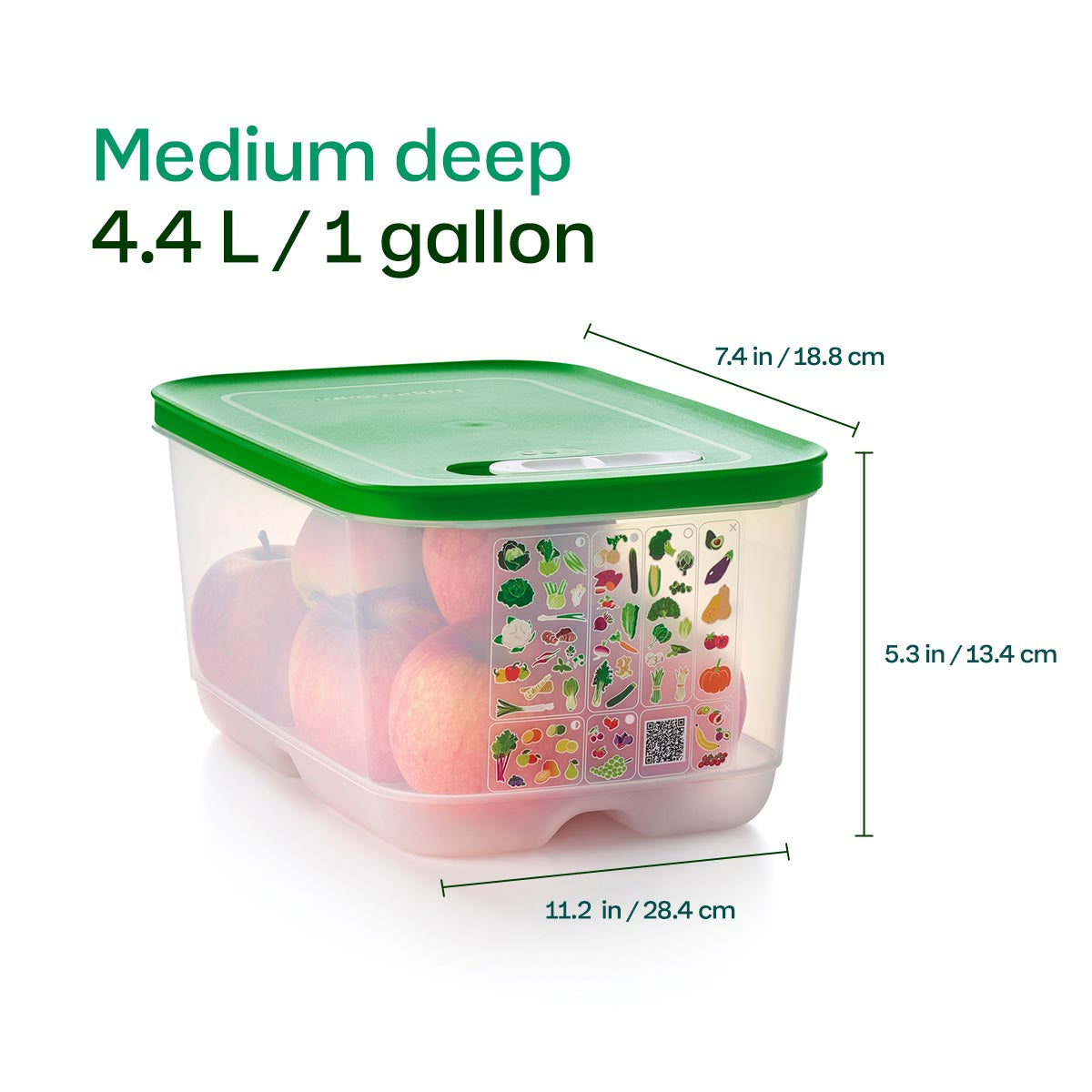 Tupperware? FridgeSmart? Medium Deep | Produce Storage Container With Lid - Image 9