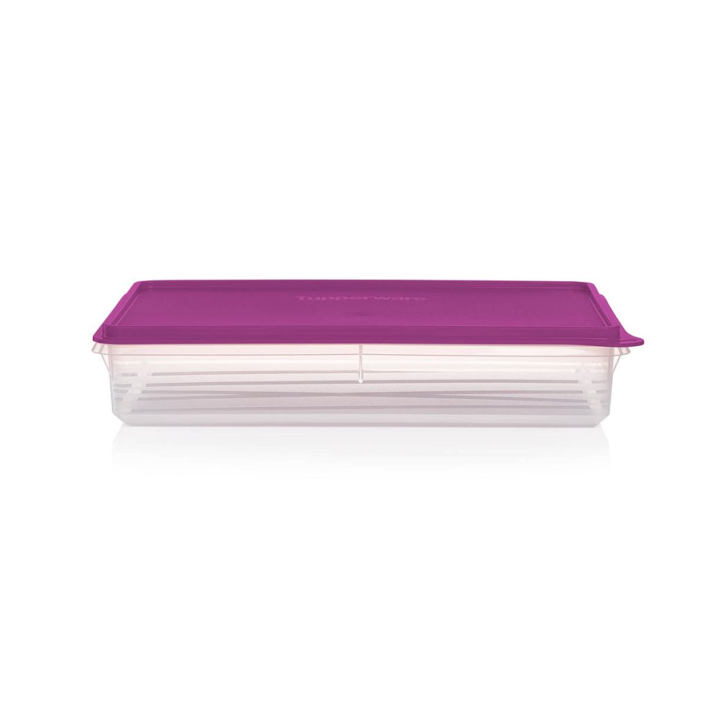 Tupperware? Snack-Stor? Large Airtight Food Storage Container